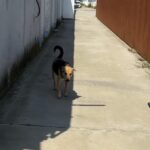 Un depozit al nostru, aproape de adăpost