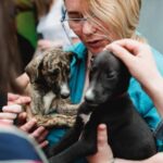 Donez Ziua de Naștere animalelor de la Kola Kariola