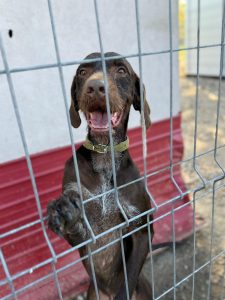 579427299_1247554300730608_5560725304361173593_n