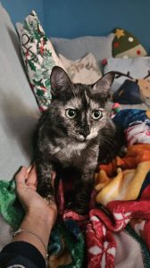 615322770_1299545215531516_2277256152104074694_n