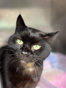 616139879_1301210195365018_8726661159244919652_n