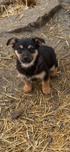 616489529_1301130542039650_3135218934335202445_n