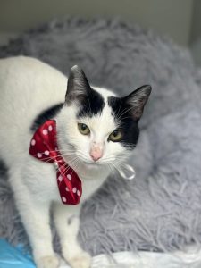 617223027_1301208702031834_8115291243292964582_n