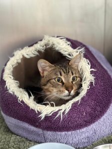 675236179_1382305873922116_4775473301778080350_n