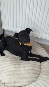 676729013_1381618940657476_8606941224628022442_n