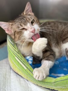 678067465_1382396780579692_7430055575984153506_n