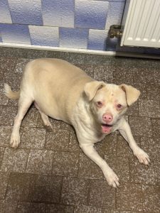 678235479_1382340383918665_8101160989159383347_n